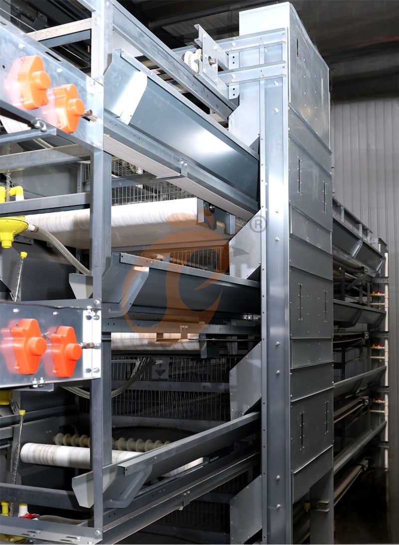 AI broiler chicken cage.png