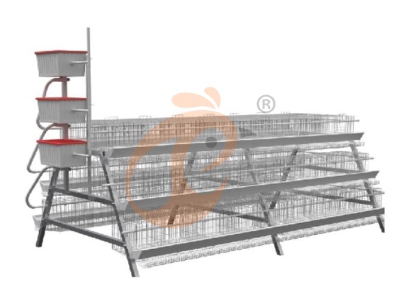 layer chicken cage poultry farm (2).png