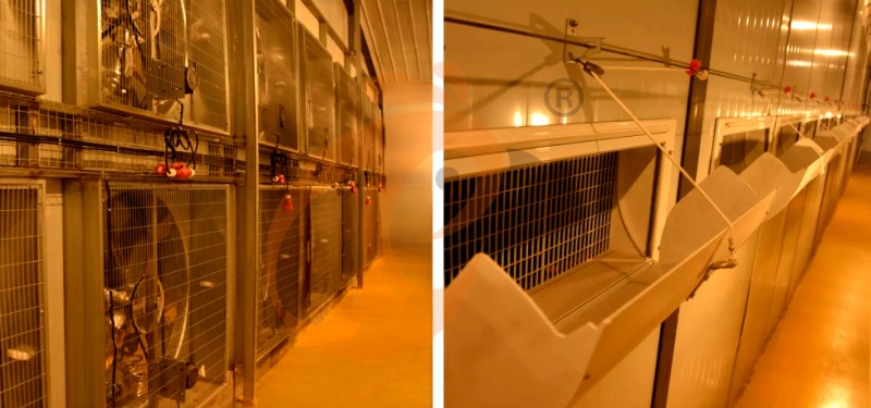 poultry house ventilation system (1).png