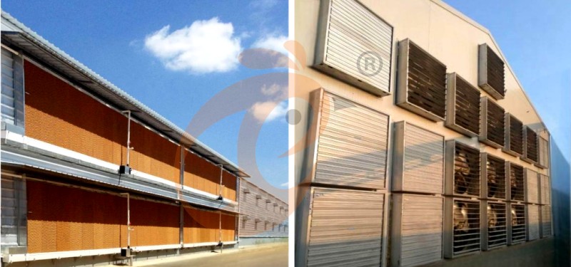 poultry house ventilation system (2).png
