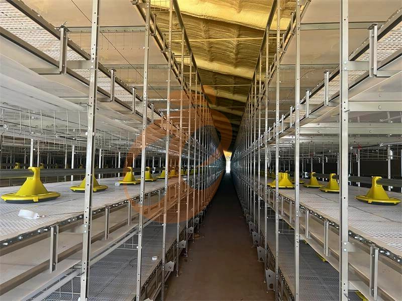 broiler chicken cage (3).png