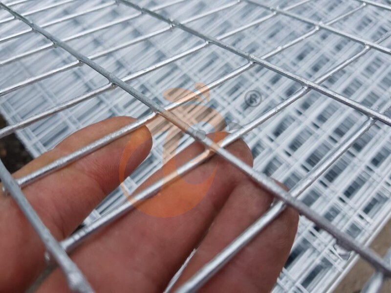 broiler chicken cage (1).jpg
