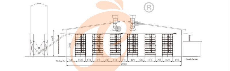 broiler chicken cage (3).jpg