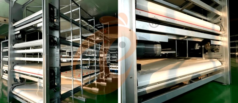 broiler chicken cage (3).png