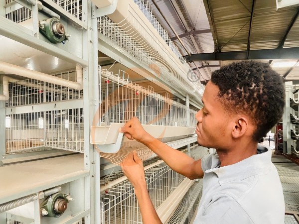 poultry equipment package and loading (2)