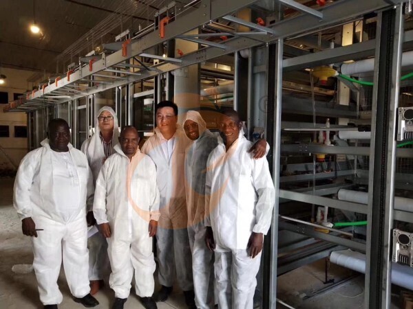 poultry battery cage (4)