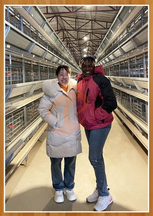 Poultry farm equipment supplier (12)