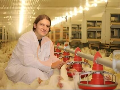 Nigeria Broiler Farming: High-Yield Operation – 5,000–6,000 Birds Per 6-Week Cycle