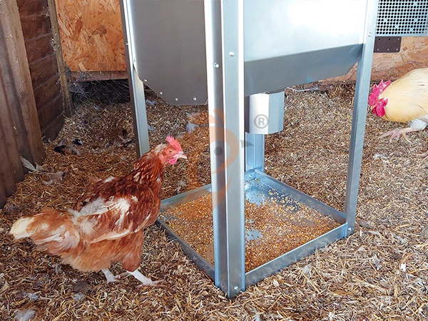 Feed System1 (12)