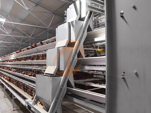 Poultry Farm Equipment Price Comparison | 5 Proven Tips To Save Cost