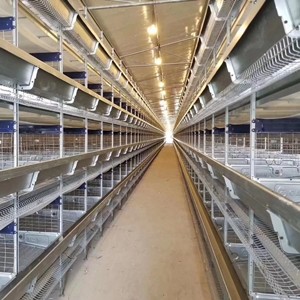 Chicken battery cage for poultry farm in Nigeria market