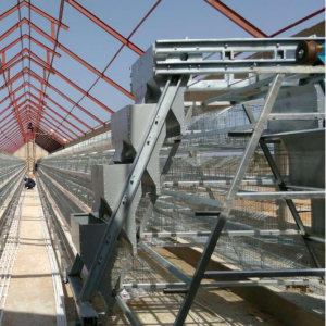 A type galvanized battery cage system in poultry for sell in Africa