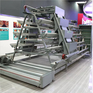 Poultry farm layer battery cage brooder cage in Africa