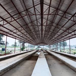 Cost of poultry import battery cage sale in Nigeria farm
