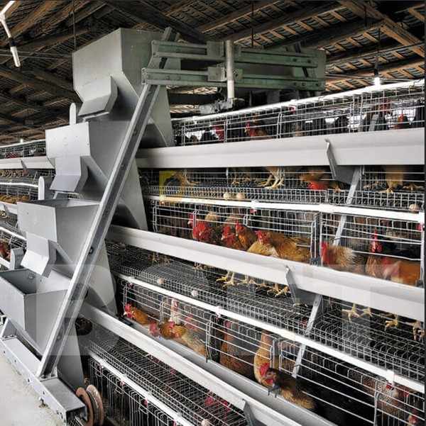 4 tiers poultry farming battery cage in Uganda