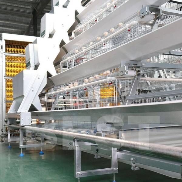 Design egg layer battery cage system price in Ghana