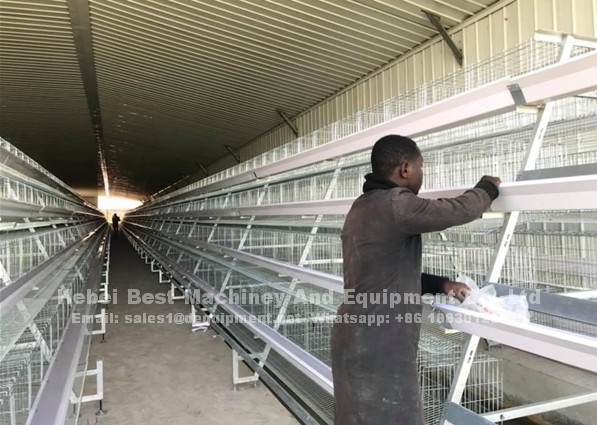 What are the advantages of BEST automatic chicken cage system