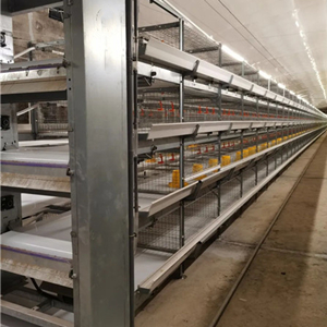 H type automatic broiler cage system for 10,000 to 1,000,000 chicken project H type automatic broiler cage system for 10,000 to 1,000,000 chicken project
