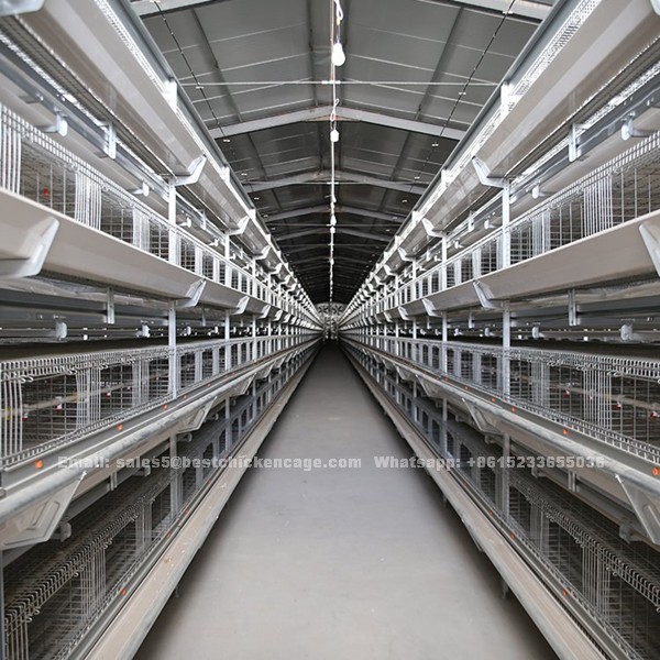 Automatic battery chicken cheaper price cage sale in poultry farm