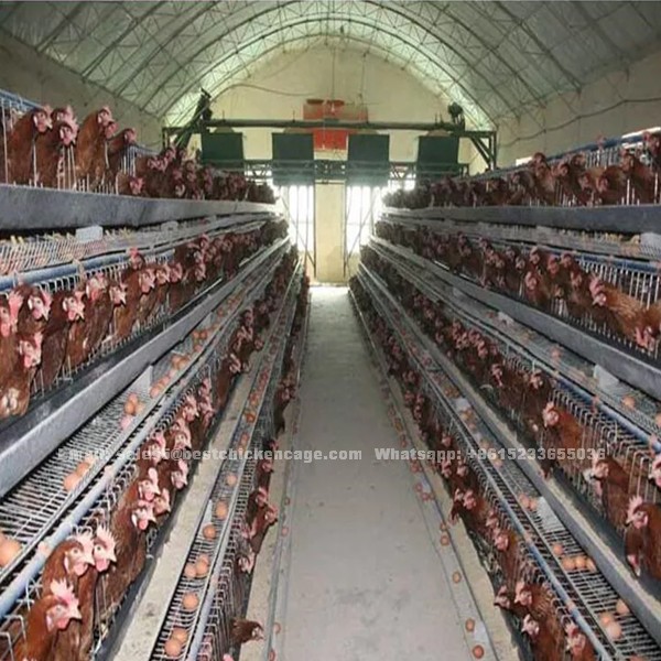 Automatic battery chicken cheaper price cage sale in poultry farm