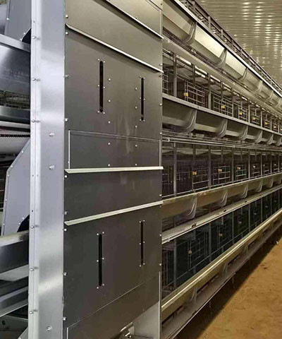 Our company finished a modern turnkey project of 30,000 birds with poultry farm cage system Our company finished a modern turnkey project of 30,000 birds with poultry farm cage system