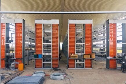 Our company finished layer project of raising 50,880  birds a poultry farm