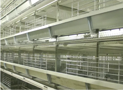 Commercial poultry farming equipments