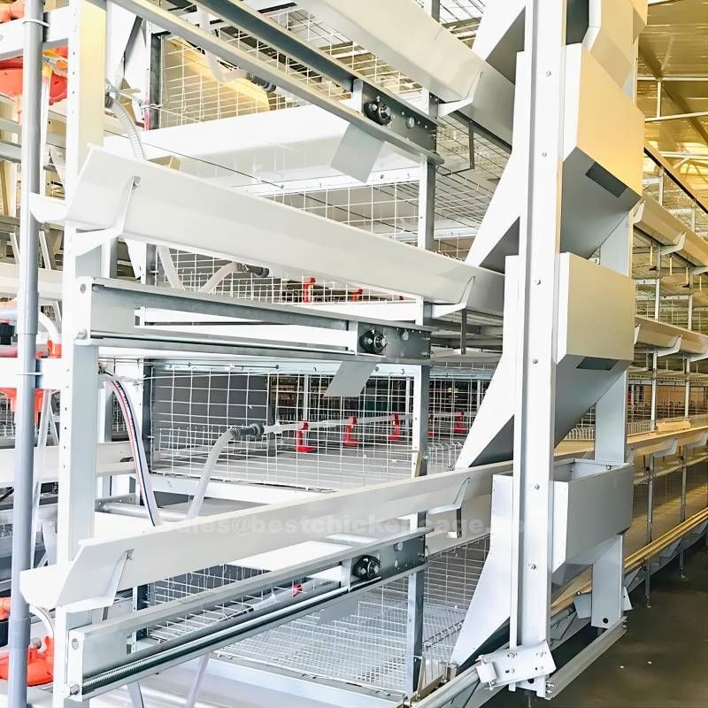 Deep litter vs broiler battery cage system Deep litter vs broiler battery cage system