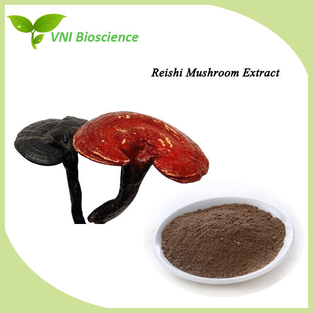 Reishi Mushroom Extract