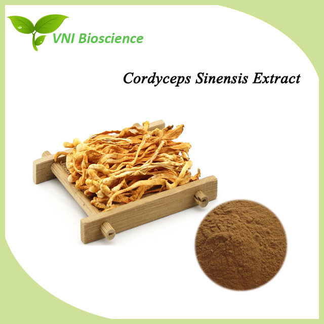 Cordyceps Sinensis Extract