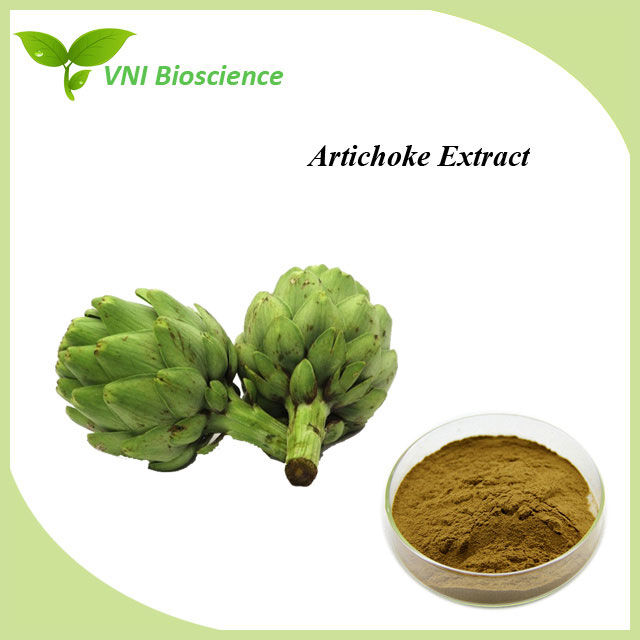 Artichoke Leaf Extract