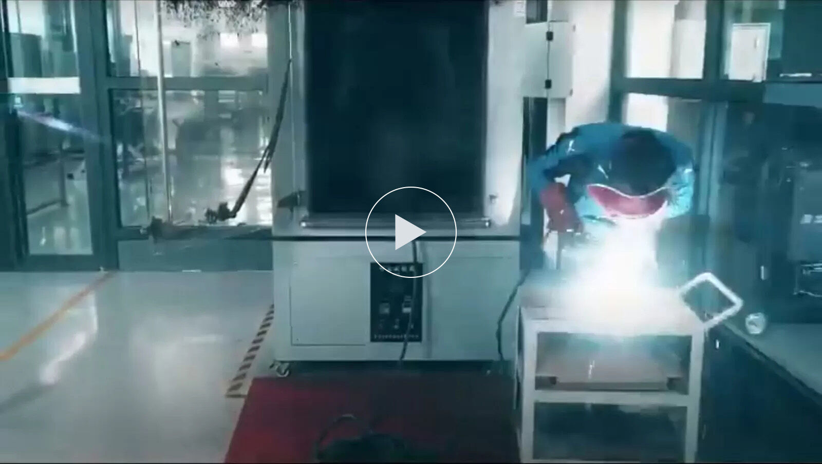 Video-AMIG350