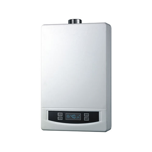 SWF10-B09 household forced flue digital tankless gas water heater