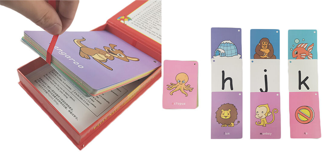 Flash Cards | New Design Animal Flash Cards