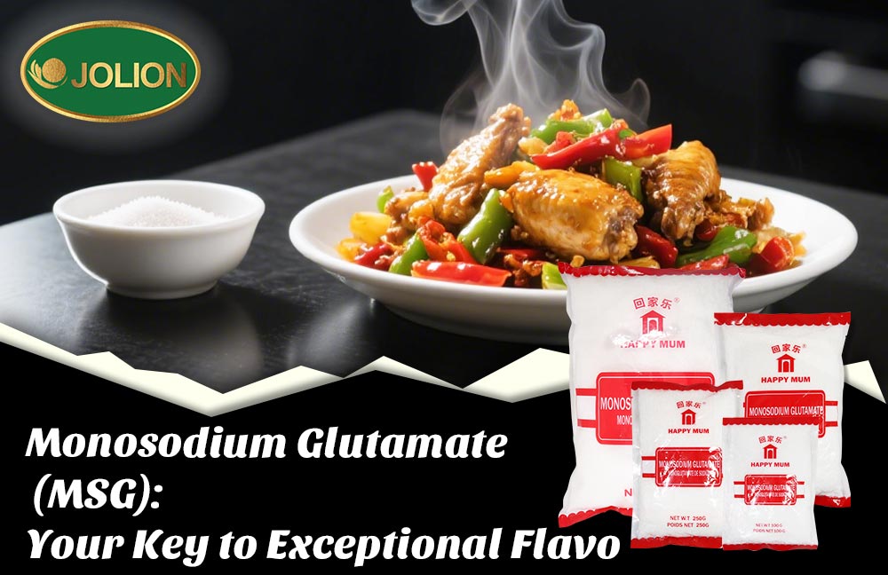 Monosodium Glutamate (MSG): Your Key to Exceptional Flavor​