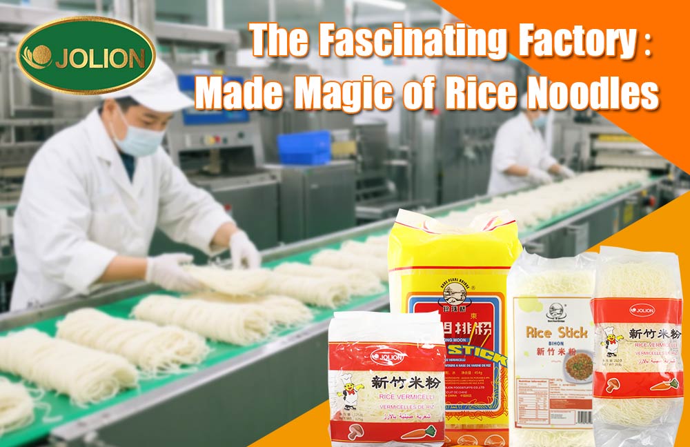 The Fascinating Factory：Made Magic of Rice Noodles