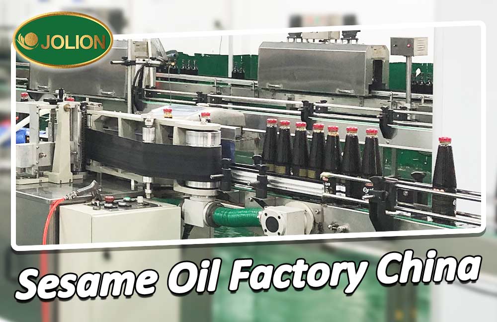 Exploring the Sesame Oil Factory in China Exploring the Sesame Oil Factory in China
