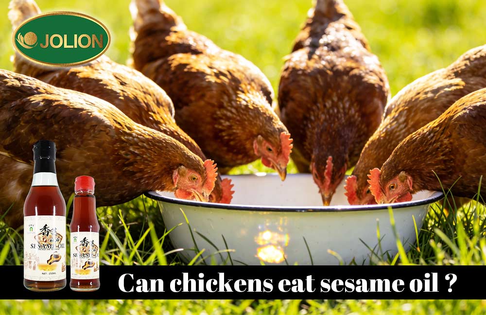 Simple and Nutritious Sesame Chicken Recipe with JOLION Foods Simple and Nutritious Sesame Chicken Recipe with JOLION Foods
