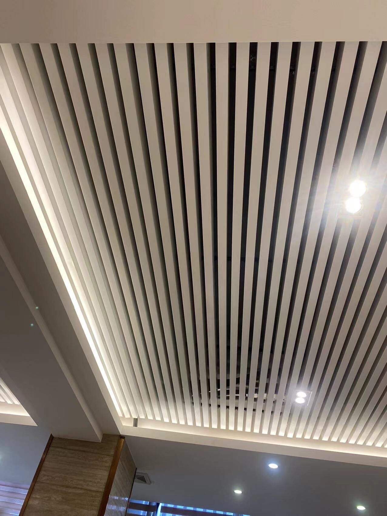 Aluminum Ceilings