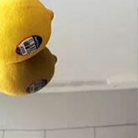 2BA.jpg