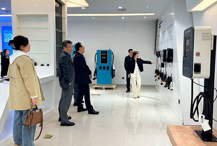 The leaders of Jiangsu Provincial Economic and Trade Commission to the European Union came to inspect