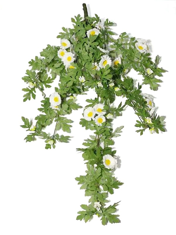 Hanging Plant 01