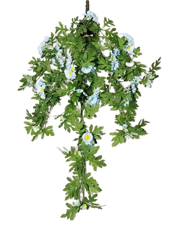 Hanging Plant 02