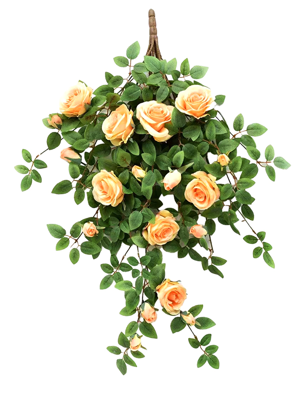 Hanging Plant 06