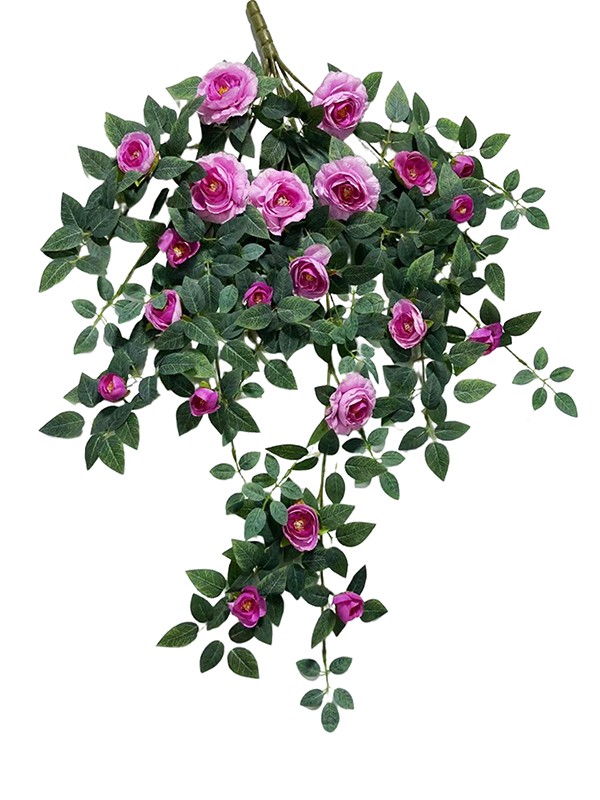 Hanging Plant 07
