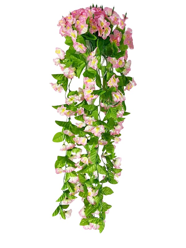 Hanging Plant 10
