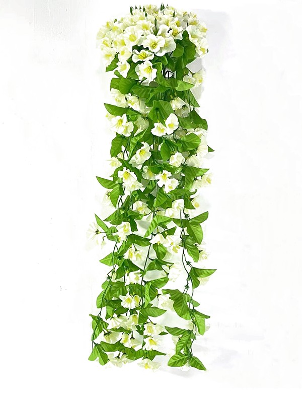 Hanging Plant 11
