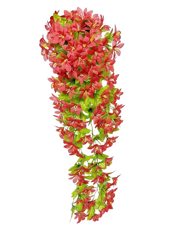 Hanging Plant 12
