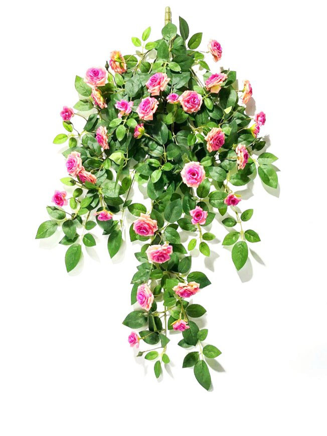 Hanging Plant 14
