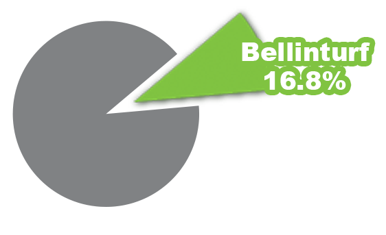 Market Status